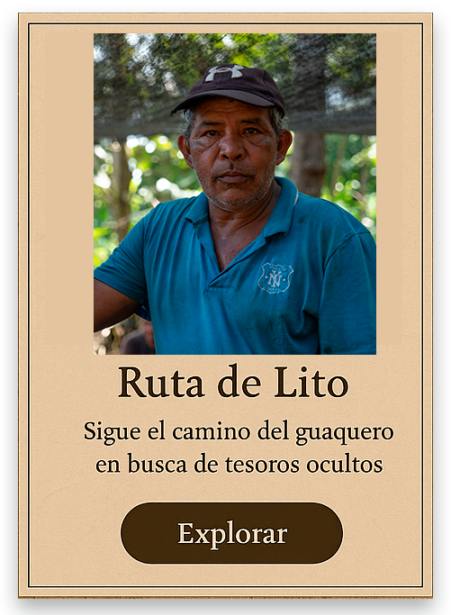 Abrir video principal